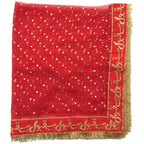 Qabool Hai Bridal Embroidered Net Dupatta | Nikah & Wedding Special | Premium Fancy Bridal Wear - Essence Trove